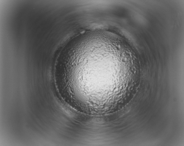X0000069820353200605221236