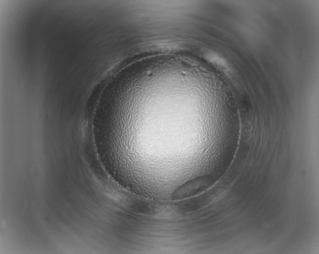 X0000069820355200605221236