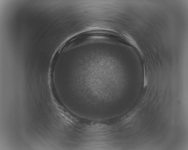 X0000069820387200605221236