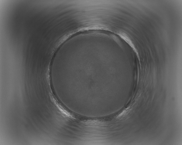 X0000069820389200605221236