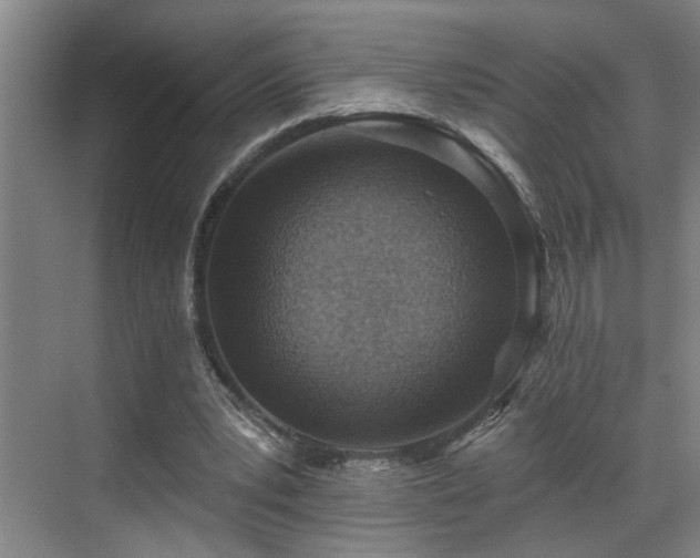 X0000069820391200605221236
