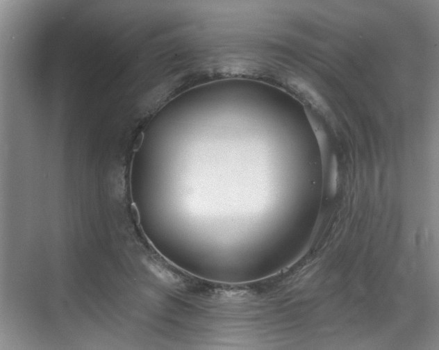 X0000069820401200605221236