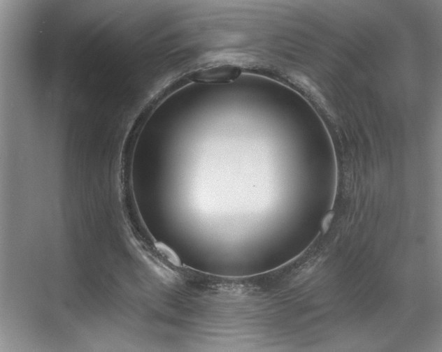 X0000069820439200605221234