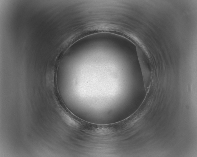 X0000069820445200605221234