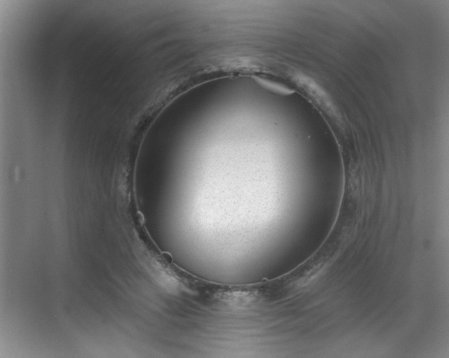 X0000069820449200605221234