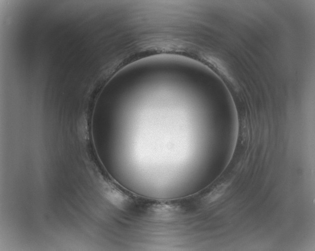 X0000069820453200605221234