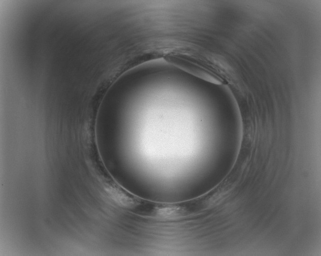 X0000069820461200605221235