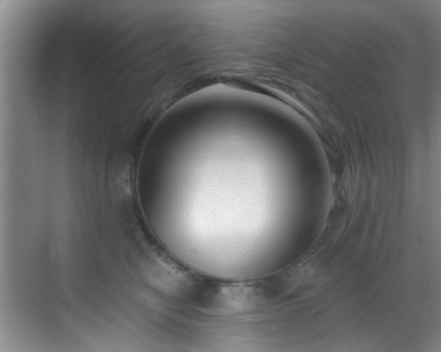 X0000069820470200605221235