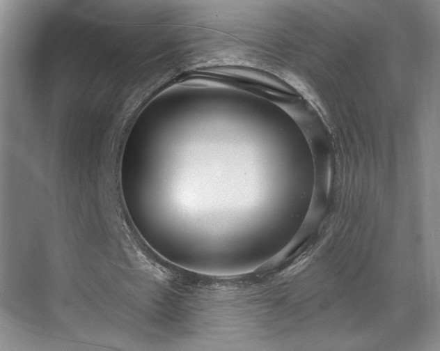 X0000069820481200605221234