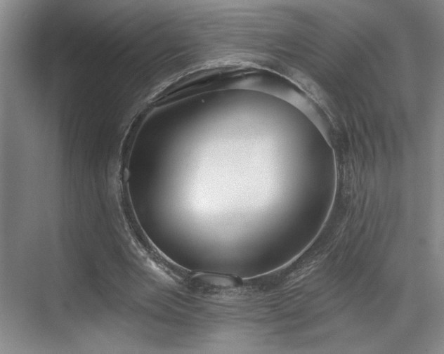 X0000069820485200605221234