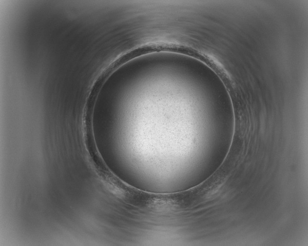 X0000069820487200605221234