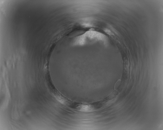 X0000069820507200605221234