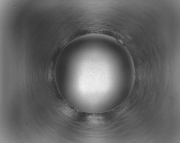 X0000069820515200605221234