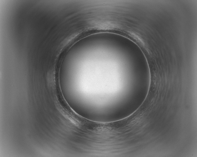 X0000069820535200605221233