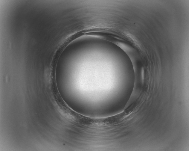 X0000069820540200605221233