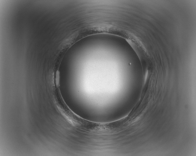 X0000069820589200605221232