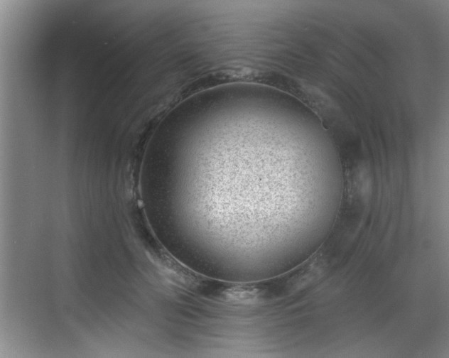 X0000069820606200605221232
