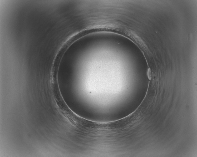 X0000069820628200605221231