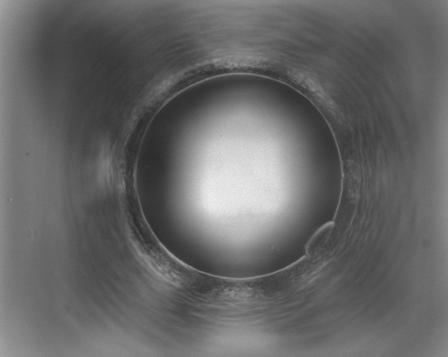 X0000069820631200605221231