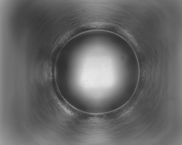 X0000069820633200605221231