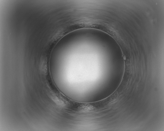 X0000069820642200605221231