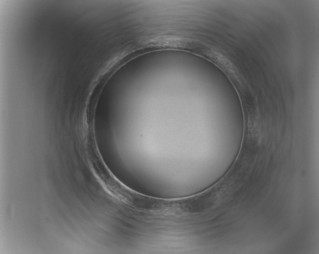 X0000069820674200605221231