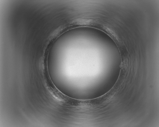 X0000069820682200605221231