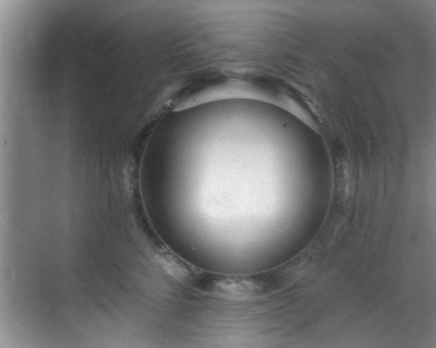 X0000069820712200605221230