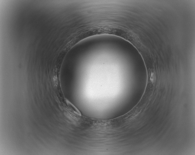 X0000069820771200605221229