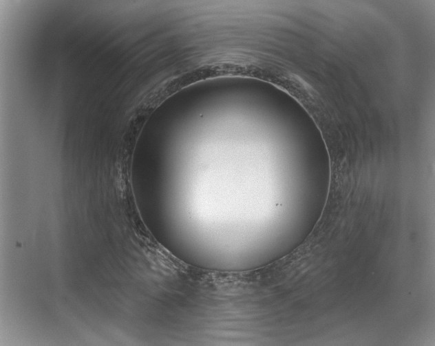 X0000069820774200605221229