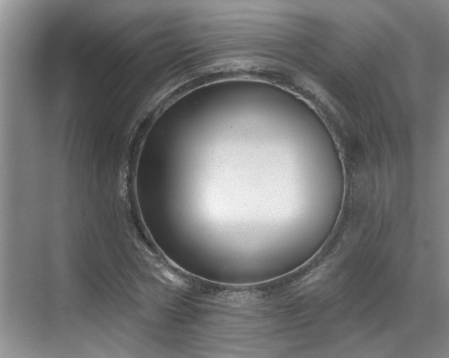 X0000069820778200605221229