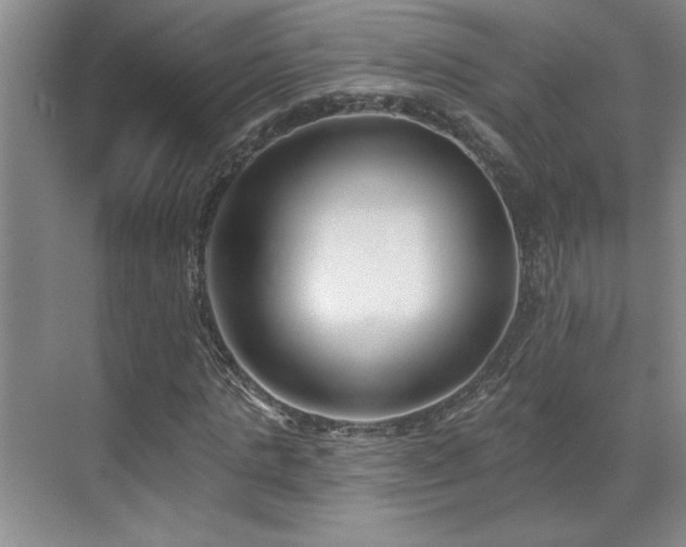 X0000069820821200605221228