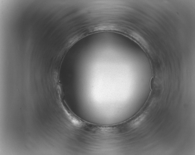X0000069820849200605221228