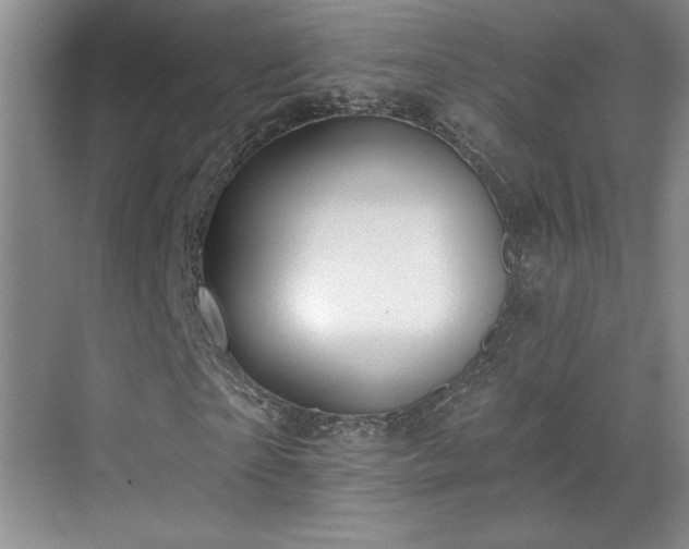 X0000069820865200605221228