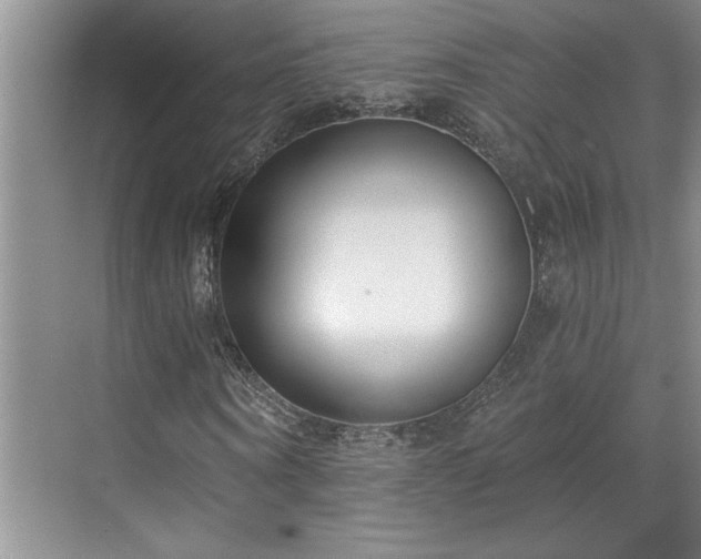 X0000069820866200605221228