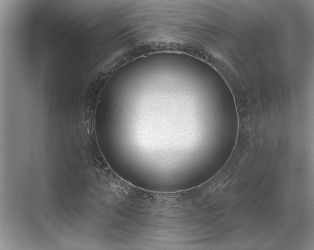 X0000069820870200605221228