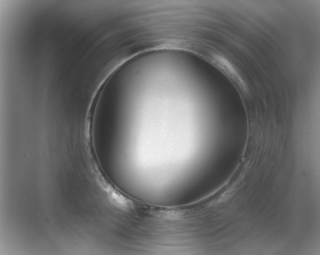 X0000069820900200605221227