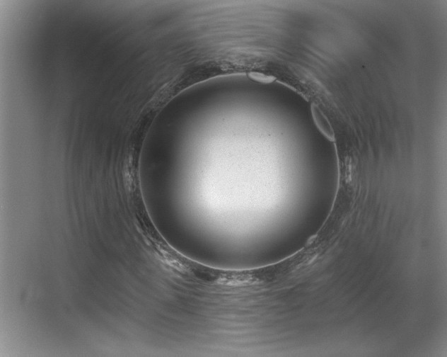 X0000069820915200605221226
