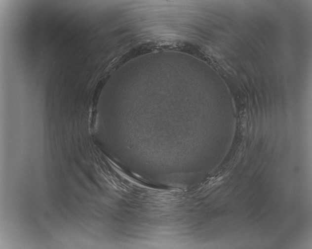 X0000069820916200605221226