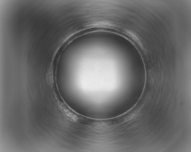X0000069820931200605221226