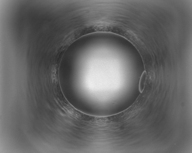 X0000069820964200605221226