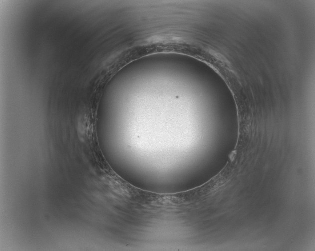 X0000069820966200605221226