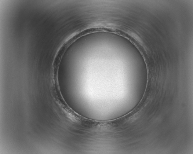 X0000069820974200605221226