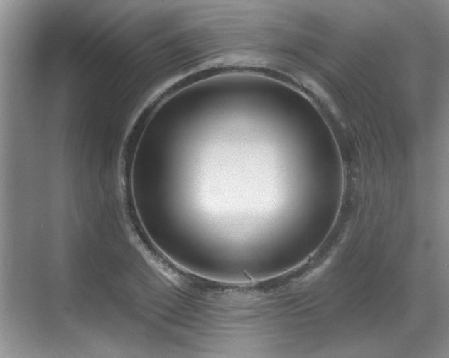 X0000069820981200605221226