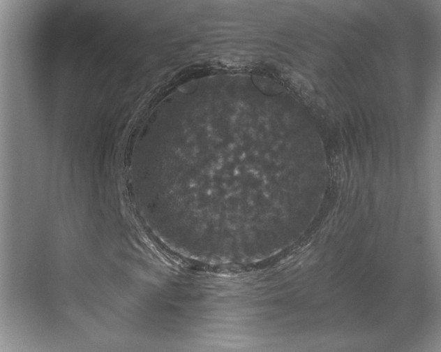 X0000069821009200605221224