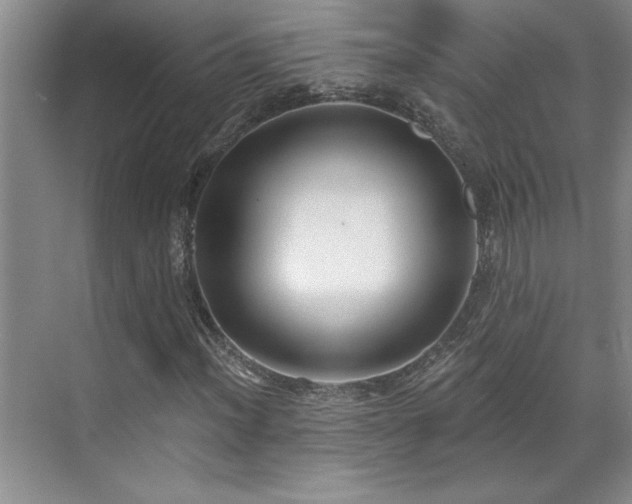 X0000069821012200605221224