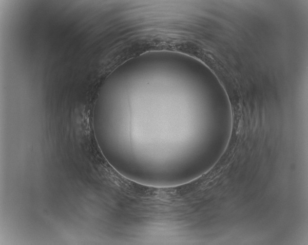 X0000069821013200605221224