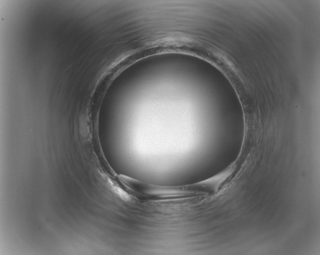 X0000069821018200605221225