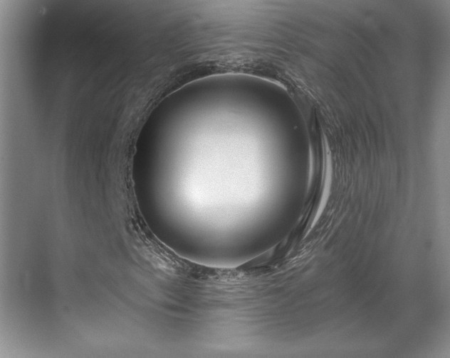 X0000069821153200605221223