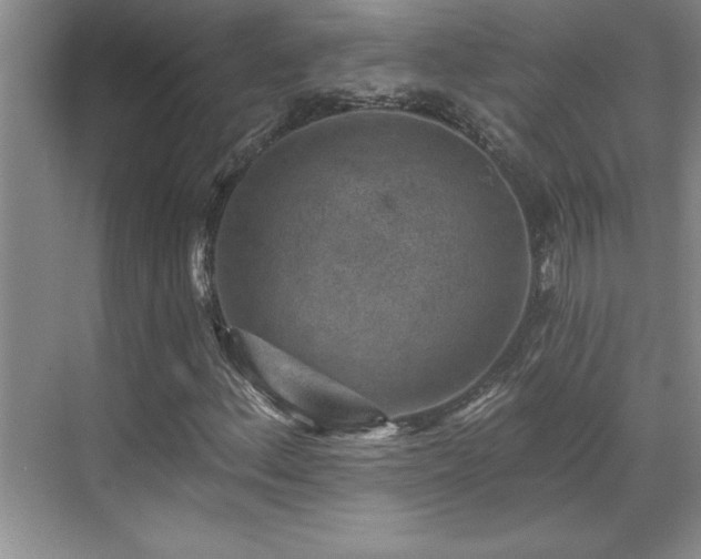 X0000069821156200605221223